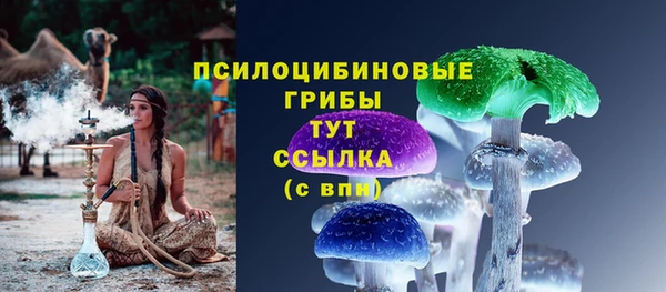 дурь Верея