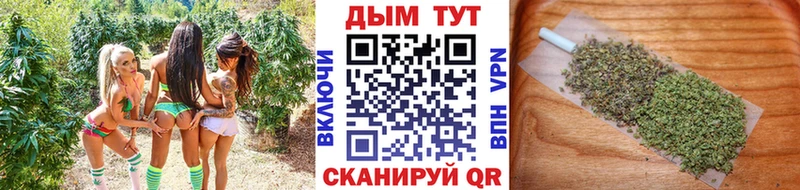 Бошки марихуана SATIVA & INDICA  Володарск 
